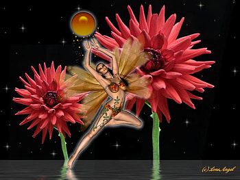 Faerie Dance, dance, red, flower HD wallpaper