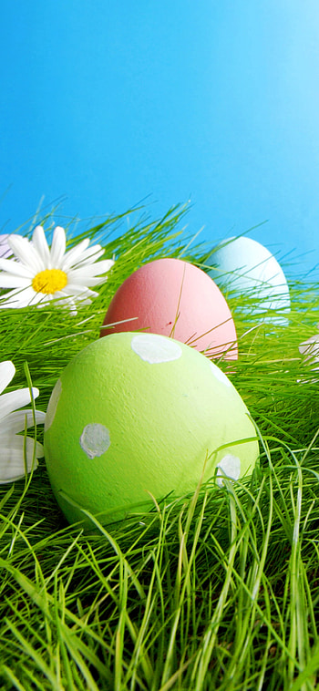 Happy Easter, easter egg, holiday, Easter HD phone wallpaper