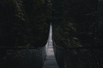 Trees, Dark, Forest, Bridge, Rope Bridge, Cable Bridge HD wallpaper