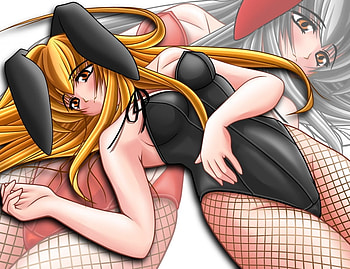 Bunnygirl sky lounge garden, artwork, abstract, anime, air, , cool, girl HD wallpaper