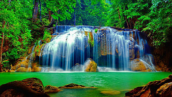 Forest Falls, moss, green, trees, waterfall, nature, forest HD wallpaper