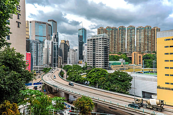 Cities, Trees, City, Building, Road, Skyscrapers HD wallpaper