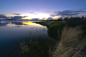 Nature, Grass, Shore, Bank, Evening, Dry HD wallpaper