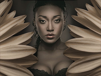 Brown Beauty, brown, beautiful, gerbera, people, look, woman, female, nice HD wallpaper