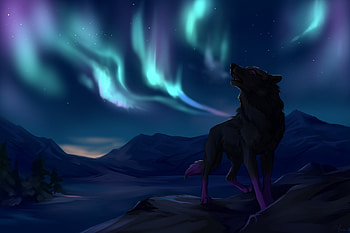 Black Wolf Background | deskbg.com HD wallpaper