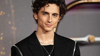 Charming Celebrity Portrait, Celebrity, Timothée Chalamet HD wallpaper