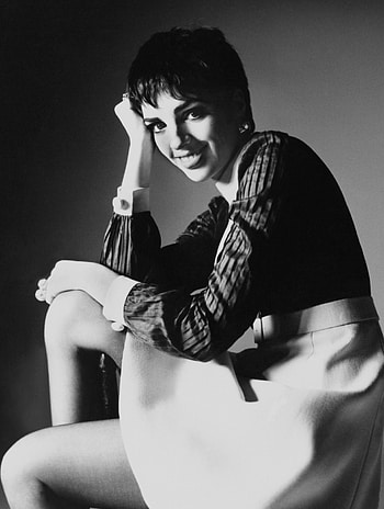 Liza Minnelli, Bert Stern, Pleasure, Captivating shots HD phone wallpaper