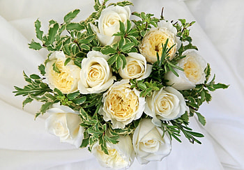 *** Bouquet of White Roses ***, white, nature, flowers, roses HD wallpaper