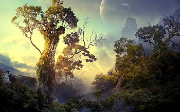 Rainforest Full search Rainforrest | | Pinterest | HD wallpaper