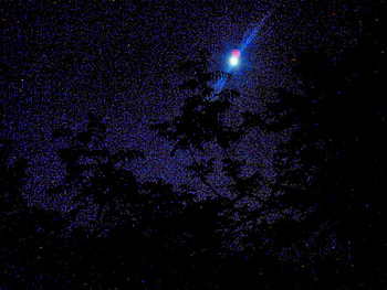 In the night, night, abstract, fantasy, light, dark HD wallpaper