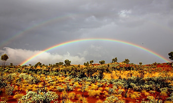 Double Rainbow, Field, Shrubs, Sky, Rainbow HD wallpaper