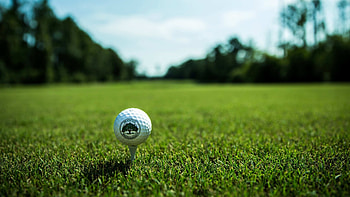 Wescott Plantation, Golf Course HD wallpaper