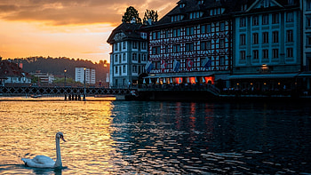 Lucerne, Switzerland, house, swan, water, lake, sunset HD wallpaper