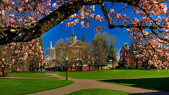 Reisetipps Salem 2022, Das beste in Salem, Entdecken Expedia, Travels HD wallpaper