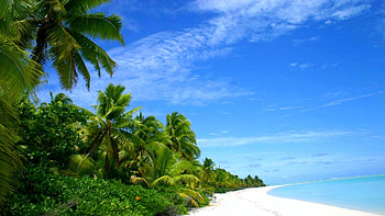 Aitutaki Beach, Cook Islands, palms, sea, sand, paradisiac, beautiful, South Pacific ocean HD wallpaper