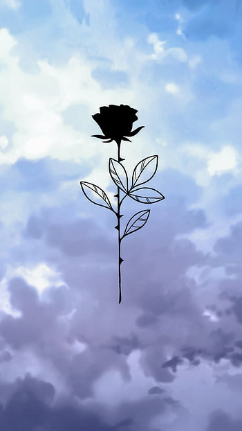 Black rose, cloud, sky HD phone wallpaper