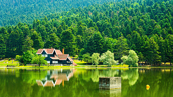 Landscape View Of House Trees Forest Mountain Background Reflection On Lake Nature HD wallpaper