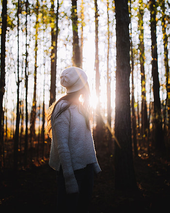Trees, Glare, Miscellanea, Miscellaneous, Forest, Girl, Sunlight HD phone wallpaper