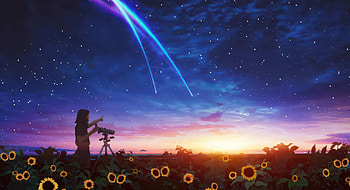 Stargazing In The Sunflower Fields, sunflowers, field, artist, artwork, digital-art HD wallpaper