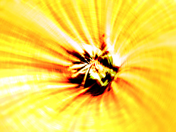 firefly, fly, orange, fire, flames HD wallpaper