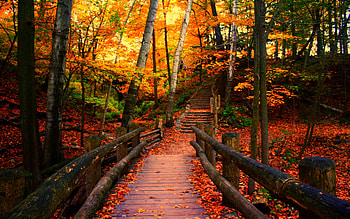 Wisconsin Travels, Autumn scenery, , mobile u0026 tablet HD wallpaper
