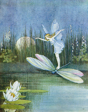 Dragonfly, Faeries (Fairies) HD phone wallpaper