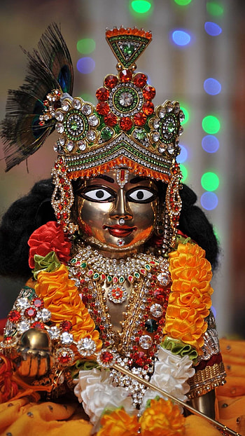 Krishna, Bal Gopal, Kanha, Murlidhar HD phone wallpaper