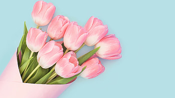 Bouquet, Tulips HD wallpaper
