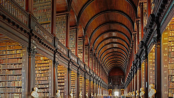 Trinity Library, old, masive, house, library, ceiling, , gothic, books, religious, Ireland HD wallpaper