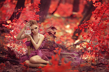 autumn fairy, fairy, feathers, autumn, flowers, girl, cage, forest, orchids HD wallpaper