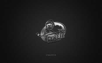 Jacksonville IceMen, American hockey club, ECHL, silver logo, gray carbon fiber background, East Coast Hockey League, hockey, Florida, USA, Jacksonville IceMen logo HD wallpaper