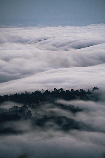 Nature, Trees, Clouds, Fog, Dahl, Distance HD phone wallpaper