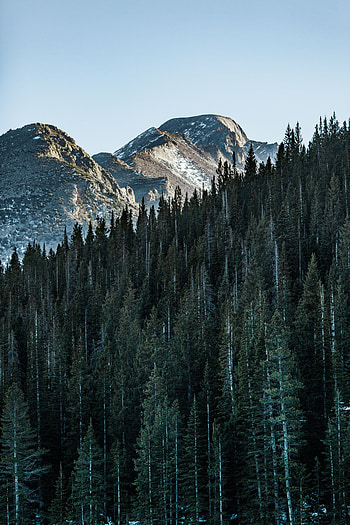 Nature, Trees, Sky, Mountain, Vertex, Top, Forest HD phone wallpaper