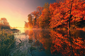 Trees Fall Reflection Autumn , autumn, nature, trees, reflection HD wallpaper
