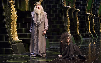 Dumbledore, Michael Gambon, Albus HD wallpaper