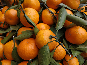 Fruits, Food, Leaves, Tangerines, Citrus HD wallpaper