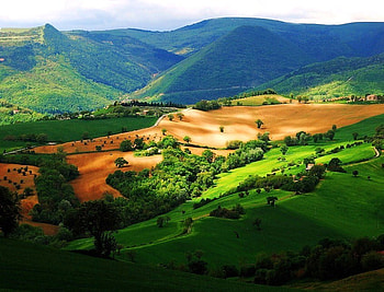 Down in the valley, shadows, sand, hills, valley, trees, grass, mountains HD wallpaper