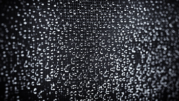 Closeup View Of Rain Water Drops graphy graphy HD wallpaper