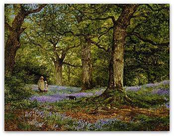 blue bells, trees, forests, wood, flower HD wallpaper