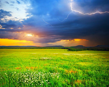 Green field, sky, nature, field, green HD wallpaper