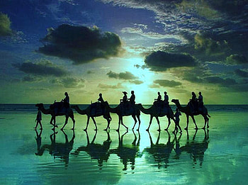 Jade caravan, jade colored sky, caravan, clouds, wet sand, reflections, evening, camels and men, ocean HD wallpaper