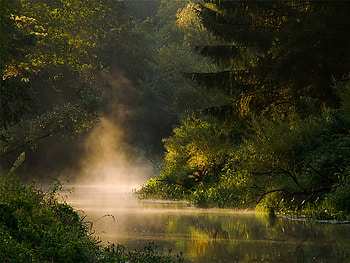 Morning River, sunshine, river, morning, foggy, stream HD wallpaper