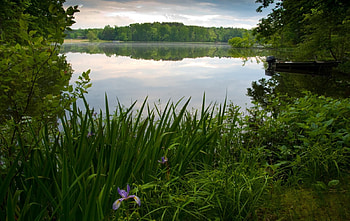 dom of Solitude, boat, dom, canoe, grass, lily, lake, montain, trees, forest, hill, solitude, pond HD wallpaper