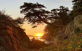 Larrabee State Park, Chuckanut, Washington, river, sea, cliffs, trees, sky, sun, usa HD wallpaper