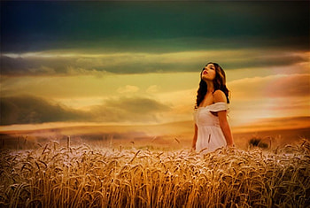 A New Day, model, graphy, brunette, girl, beautiful, gold, beauty, woman, field, clouds, nature, sky, , sunset HD wallpaper