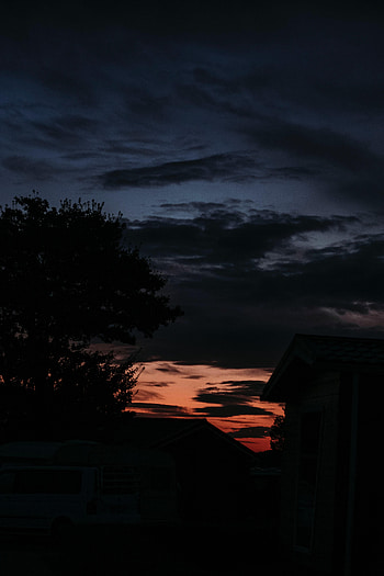 Twilight, Dark, Silhouette, Branches, House, Dusk HD phone wallpaper