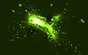 Puma lime logo, , lime neon lights, creative, lime abstract background, Puma logo, brands, Puma HD wallpaper