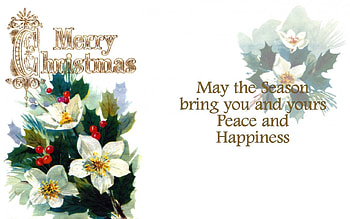 Floral Christmas , December, art, romance, illustration, artwork, occasion, wide screen, holiday, Christmas, love, flowers HD wallpaper