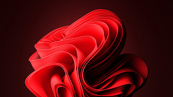 Windows 11 Background : R Windows11, Black Windows 11 HD wallpaper