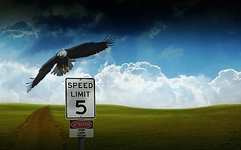 the path of dom, fantasy, 3d HD wallpaper